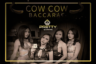 cow cow baccarat pretty